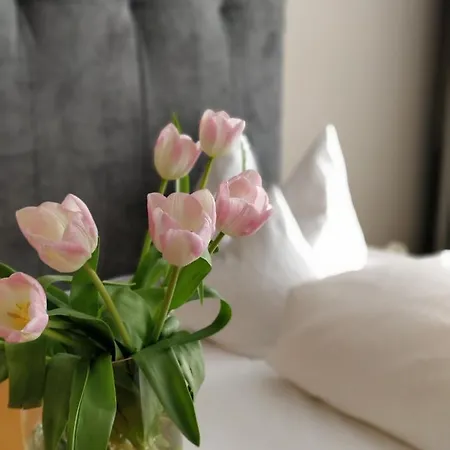 Hotel An Der Stadtmauer