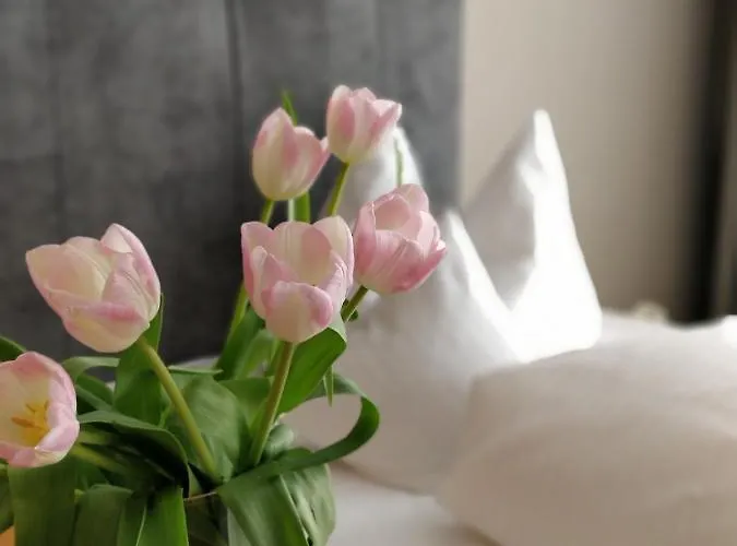 Hotel An Der Stadtmauer